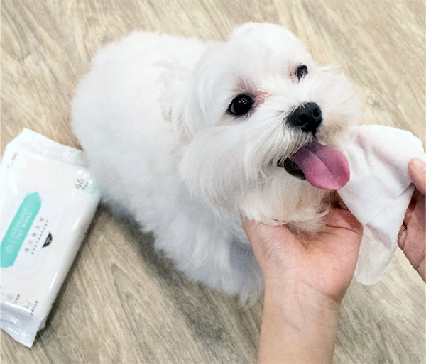 can-you-clean-dog-ears-with-dog-wipes can-you-clean-dog-ears-with-dog-wipes