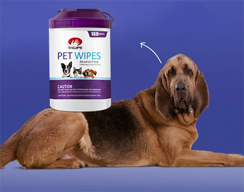 Benzalkonium chloride wipes shop safe for dogs