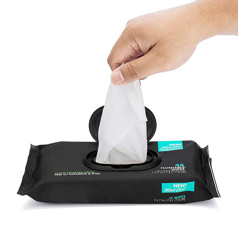 Wholesale Adult Flushable Wipes Moist Toilet Paper 48 Count Pack