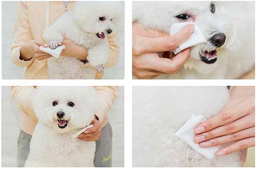 Applications-of-Pet-Wipes