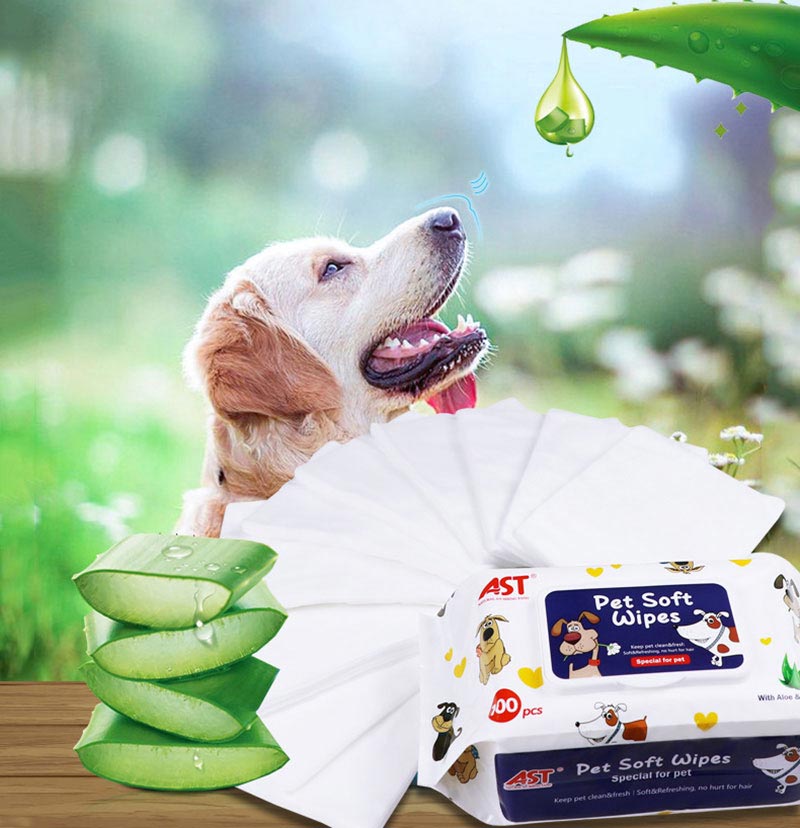 dog-grooming-wipes