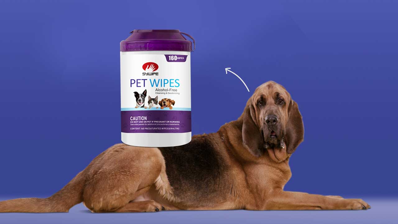 How to Clean a Dog's Anal Glands with Pet Wipes? 