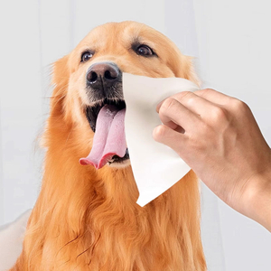 Wet fashion wipes safe for dogs