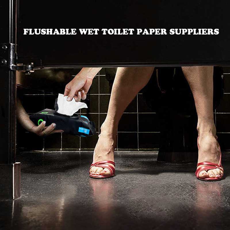 Wholesale Adult Flushable Wipes Moist Toilet Paper 48 Count Pack