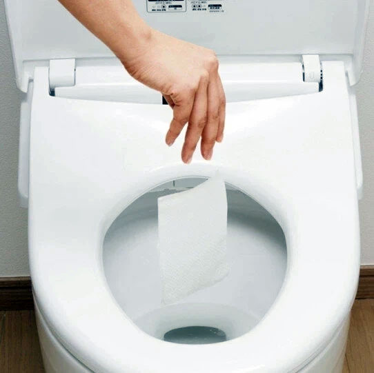 are-wet-wipes-flushable