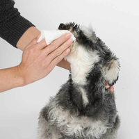 //irrorwxhqjnolm5m.leadongcdn.com/cloud/ljBpiKlilnSRojjjkmqoiq/13-Best-Safe-Dogs-Wipes-of.jpg