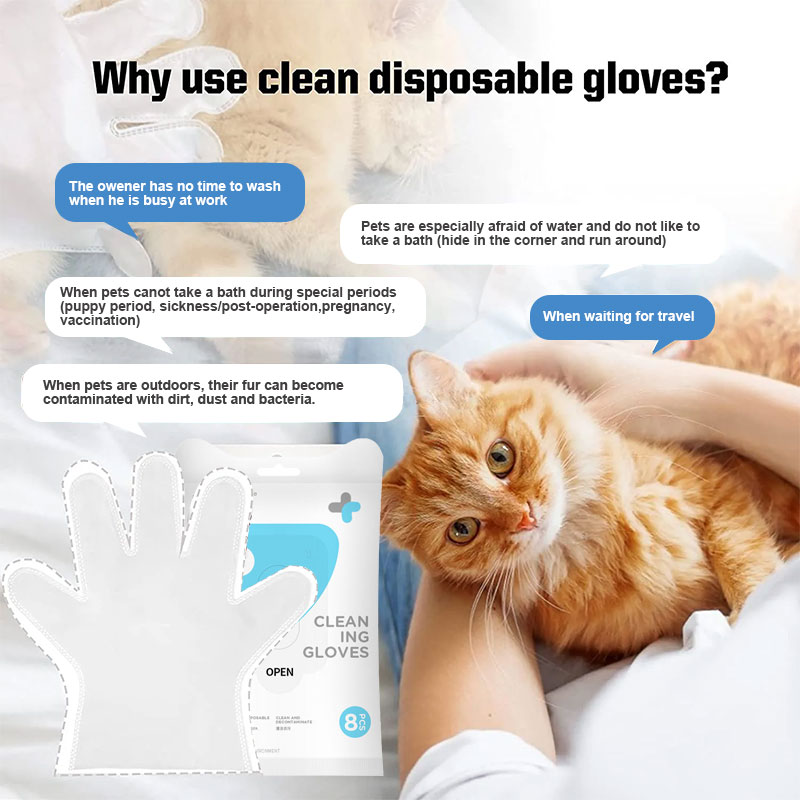 grooming-hygiene-glove-wipes-for-dogs-and-cats-in-china-manufacturer