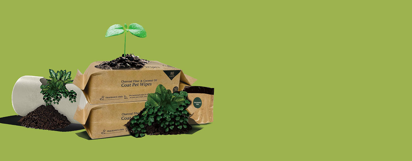 Biodegradable wipes manufacturer in china