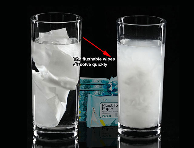 Comparison-of-Degradation-Between-Regular-Wet-Wipes-and-Flushable-Wet-Wipes