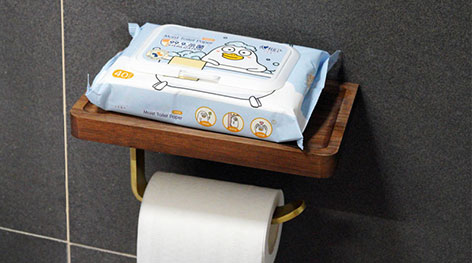 <h3>Wet Toilet Paper</h3> 