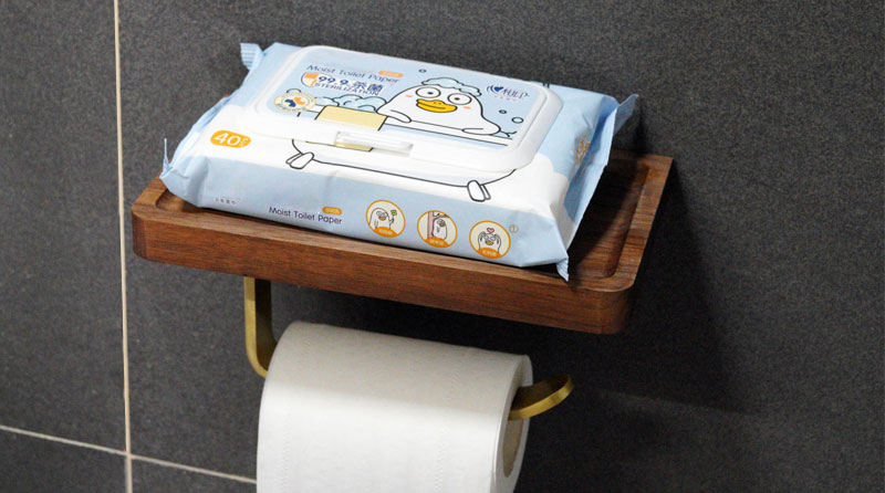  <h3>Wet Toilet Paper</h3> 