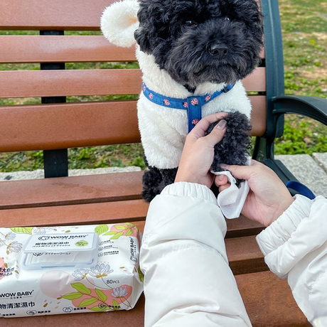 how-to-properly-use-doggy-wipes-for-cleaning-dog-paws.jpg