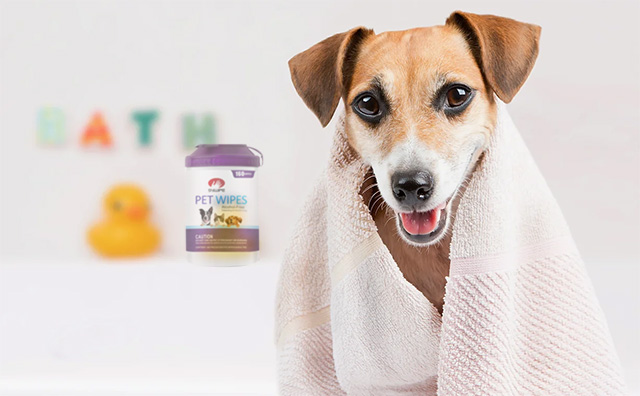 Unveiling the Advanced Solutions Offered by Pet Wipes Manufacturers