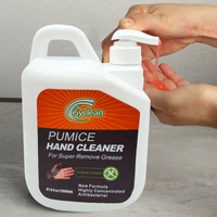 //irrorwxhqjnolm5m.leadongcdn.com/cloud/lpBpiKlilnSRnlinlkpkio/What-Is-Pumice-Hand-Cleaner.jpg