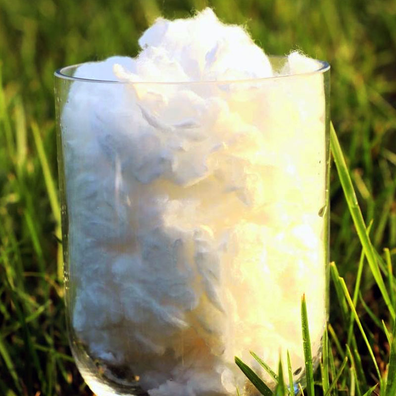 Bamboo Wipes vs. Flushable Wipes: Which Is Truly Eco-Friendly?
