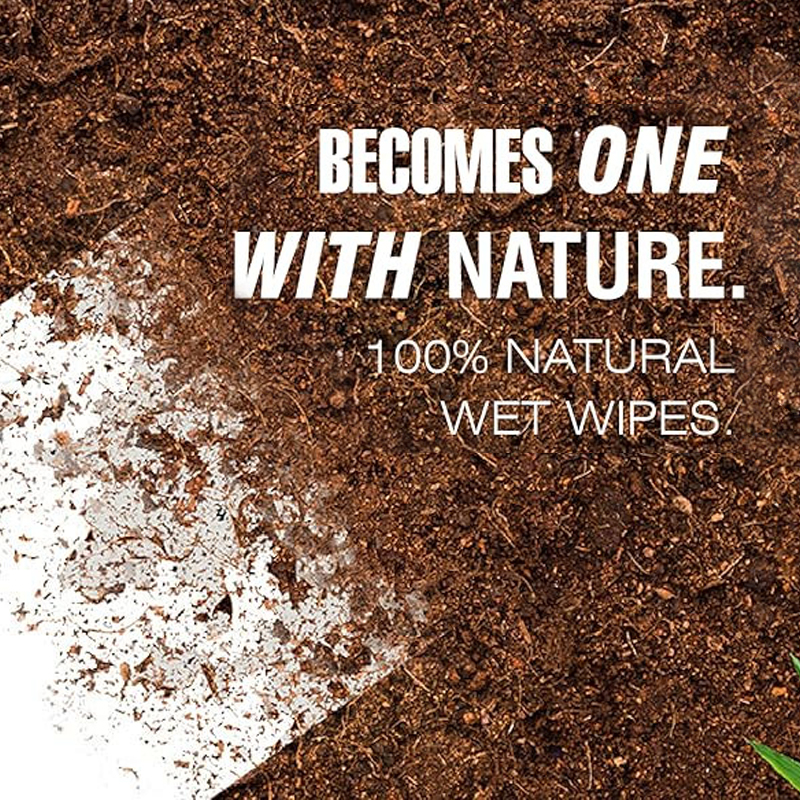Biodegradable Wet Wipes: Eco-Friendly Solutions for Sustainable Hygiene