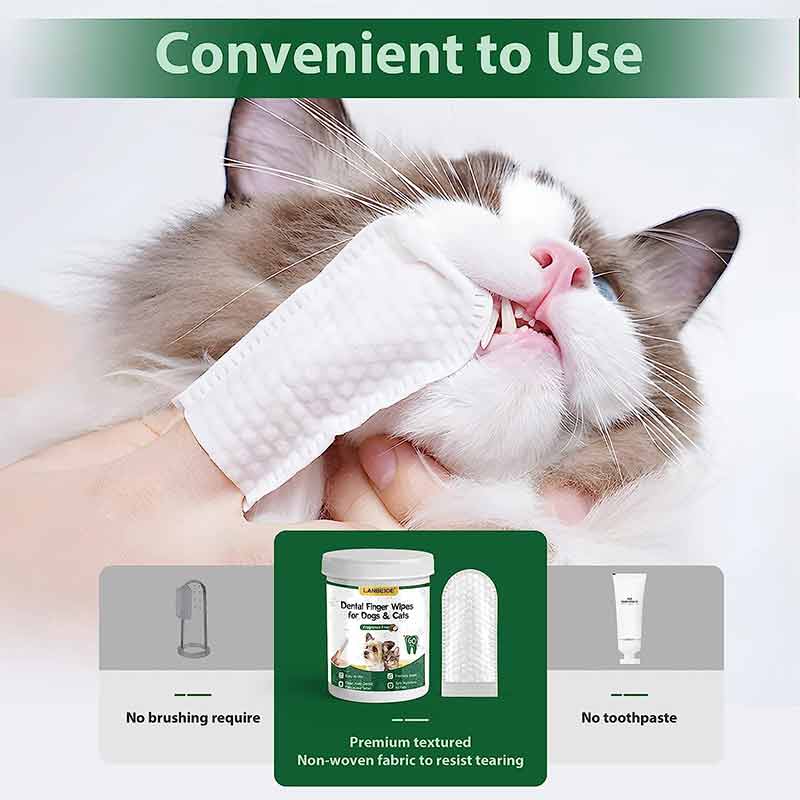 Premium Dental Care Wipes for Dogs & Cats SYWIPE Manufacturers