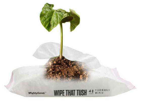 Biodegradable-and-compostable-wet-wipes